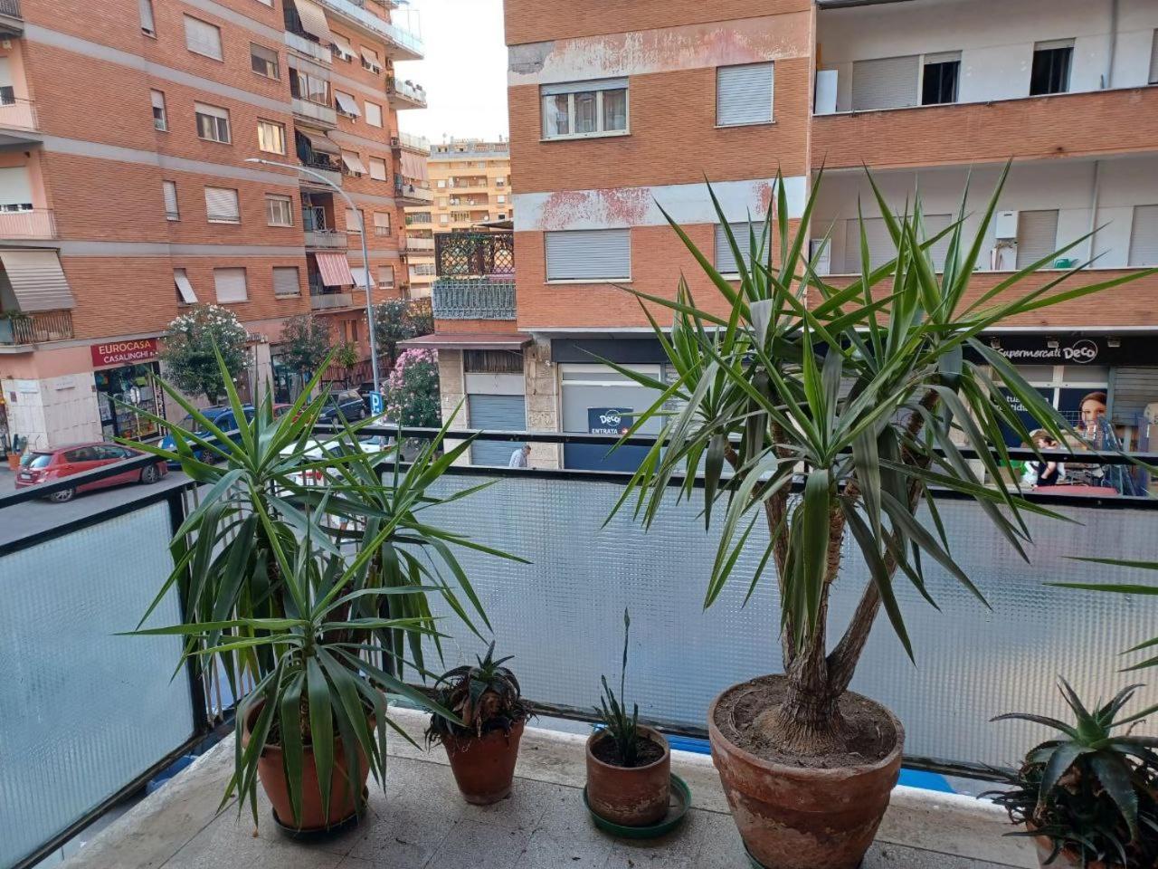 Tiburtina2000 *